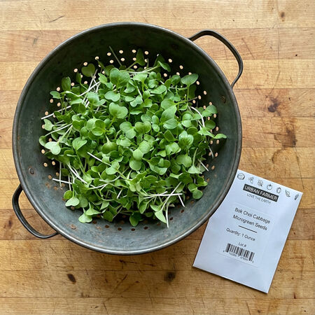 Bok Choy Cabbage, Microgreen Seeds - 1/4 Pound image number null